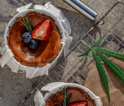 CBD Cheesecake Bites UK