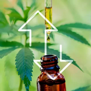 cbd oil pros and cons