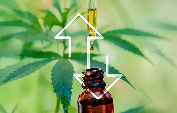 cbd oil pros and cons
