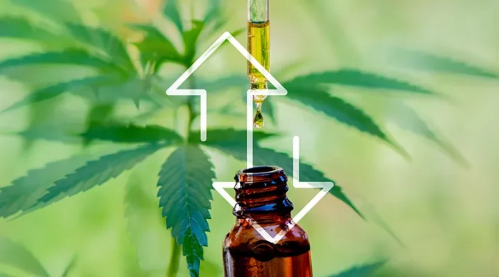cbd oil pros and cons