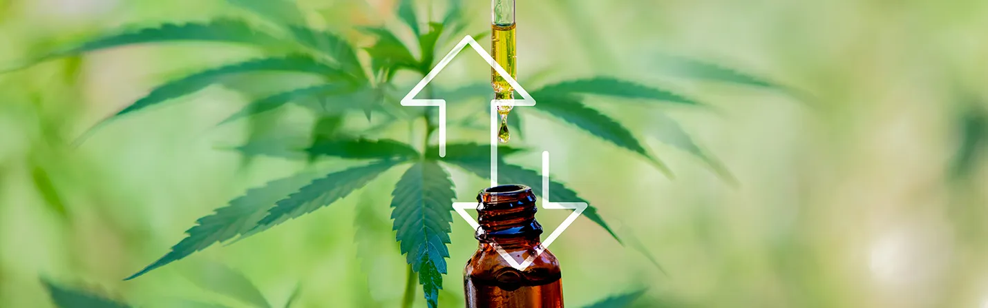 cbd oil pros and cons