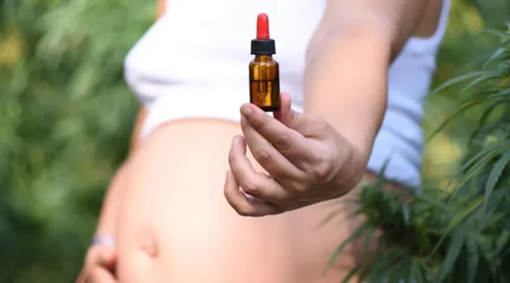can you use cbd while pregnant