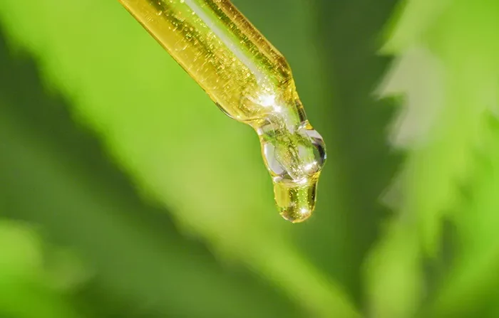 CBD Oil for Period Pain