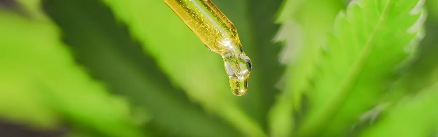 is cbd addictive