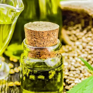 Hemp Oil vs CBD Oil