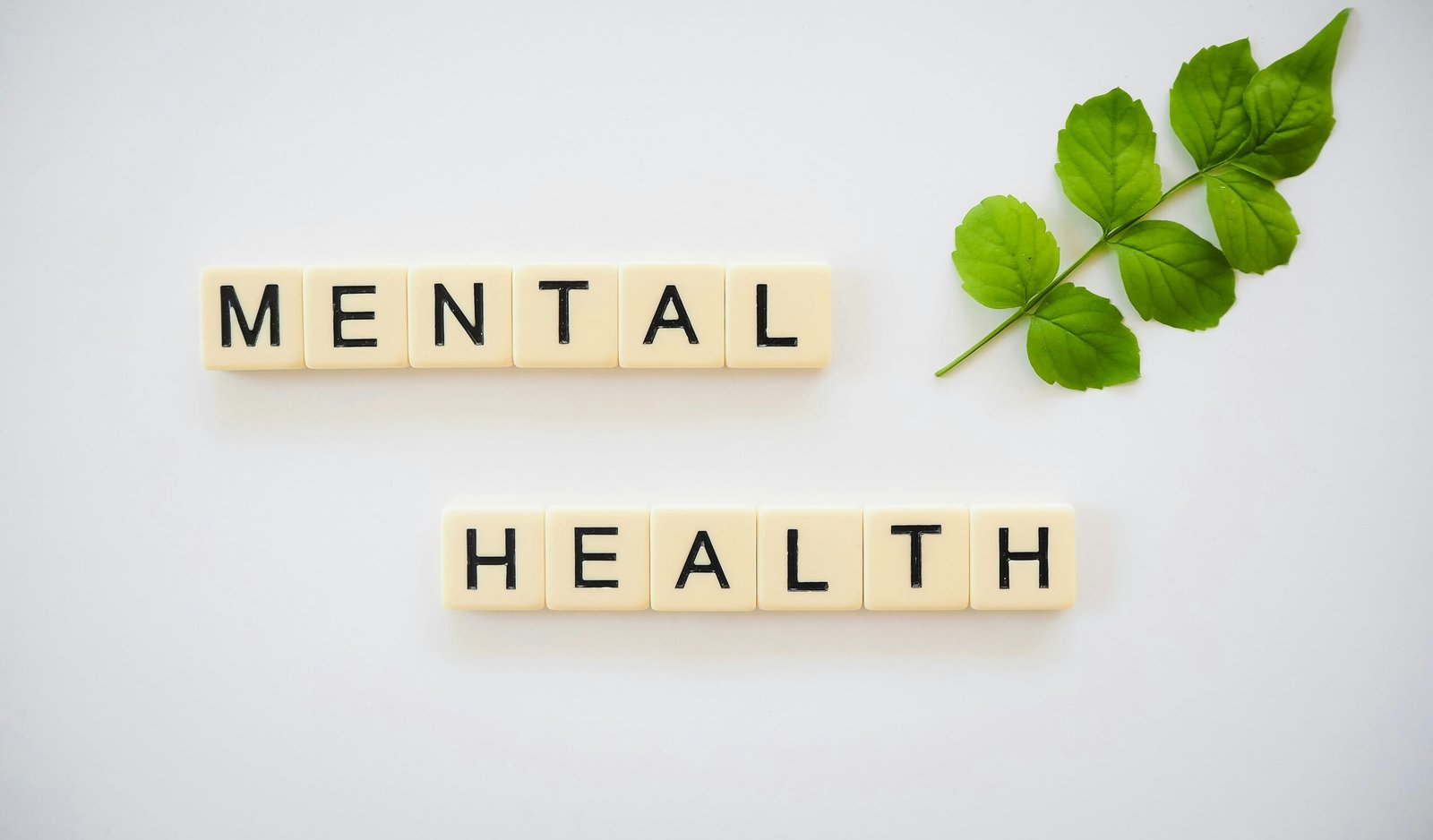 CBD on Mental Health