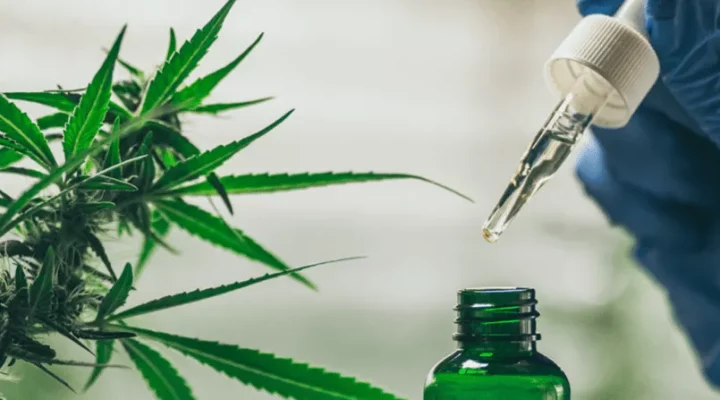 what is synthetic cannabidiol