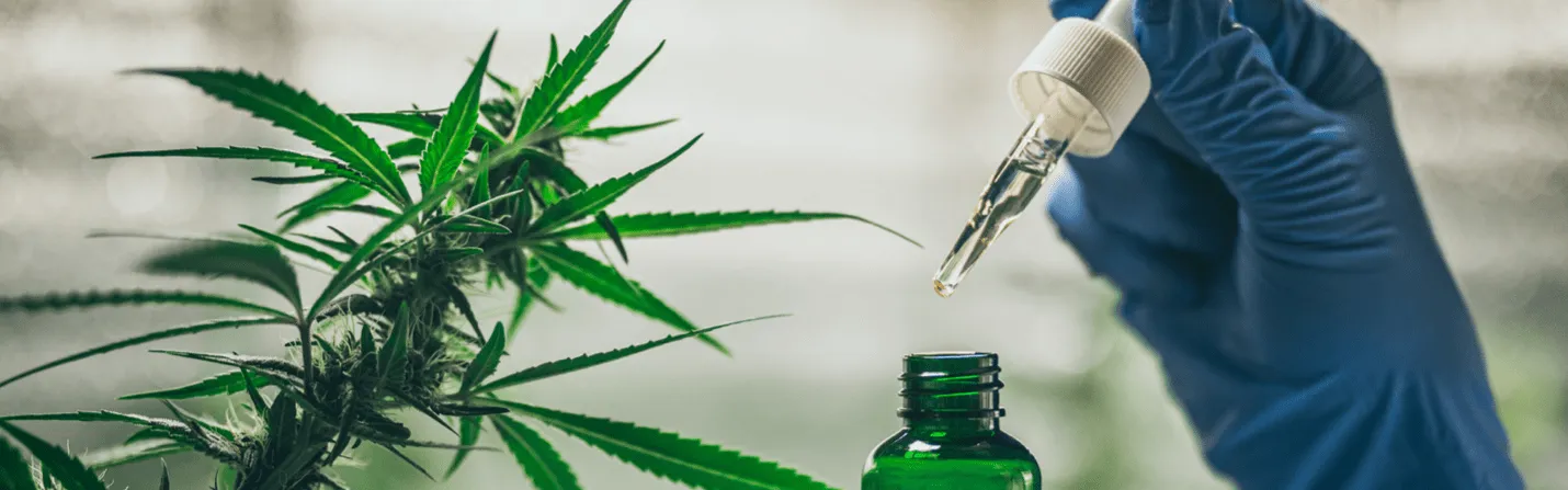 what is synthetic cannabidiol