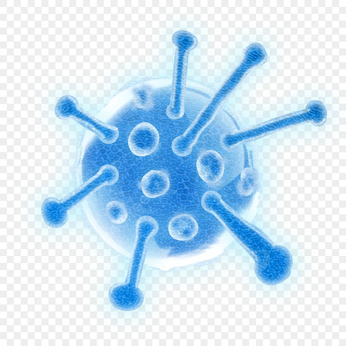 immune system
