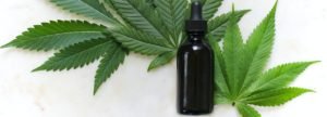 THC-Free CBD Oil, benefits of cbd