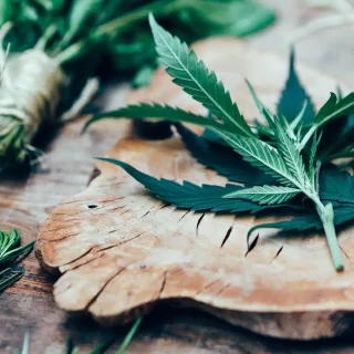 cannabidiol addictive