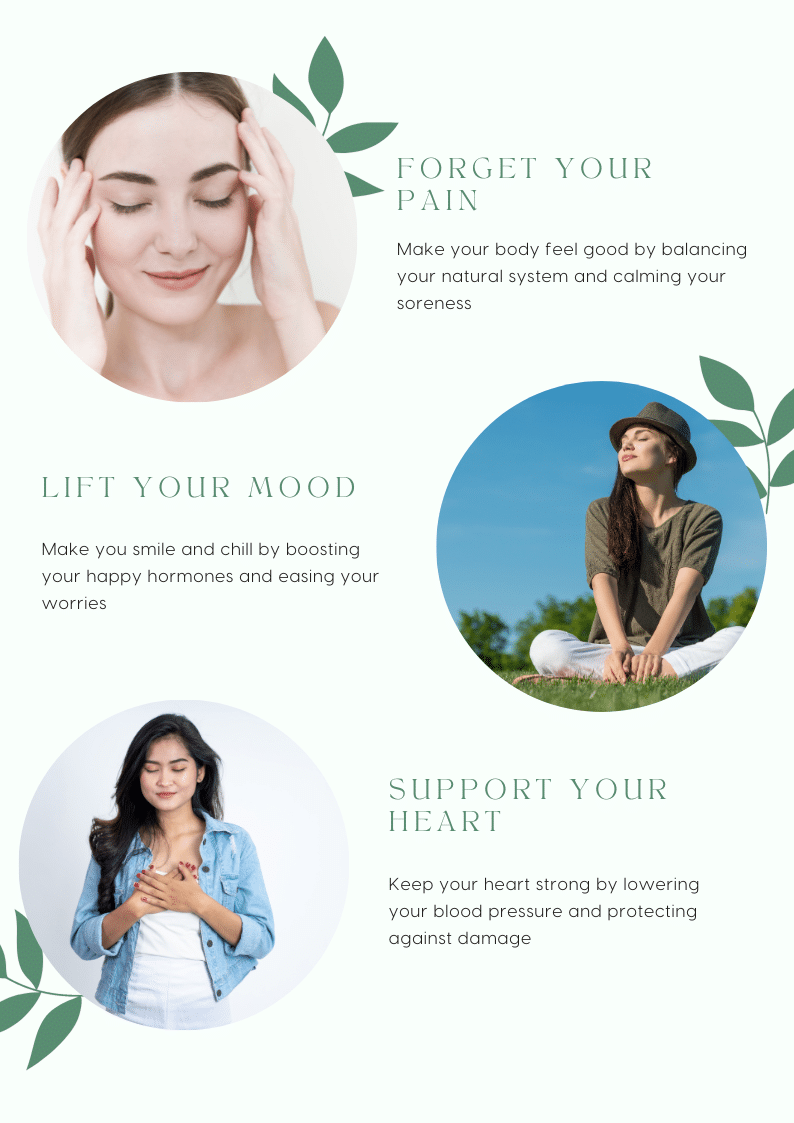 Violet Minimal Beauty Skincare Store Email Newsletter 1 1