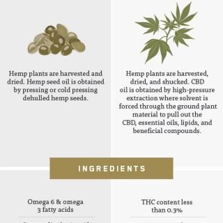 CBD Oil vs. Hemp Oil