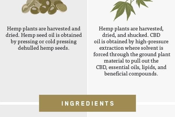 CBD Oil vs. Hemp Oil