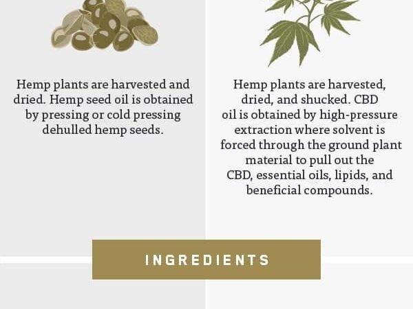 CBD Oil vs. Hemp Oil