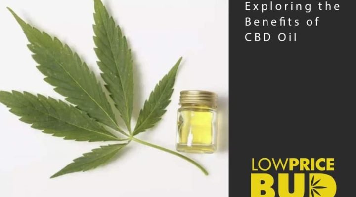 CBD oil
