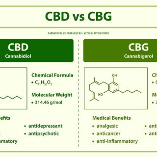 discovering the benefits of cbd and cbg a comprehensive guide 1