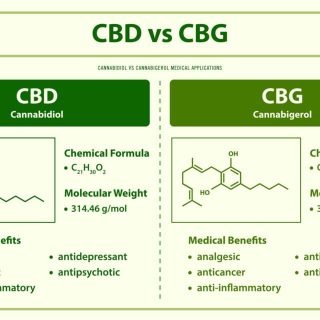 discovering the benefits of cbd and cbg a comprehensive guide