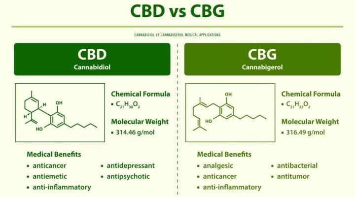 discovering the benefits of cbd and cbg a comprehensive guide