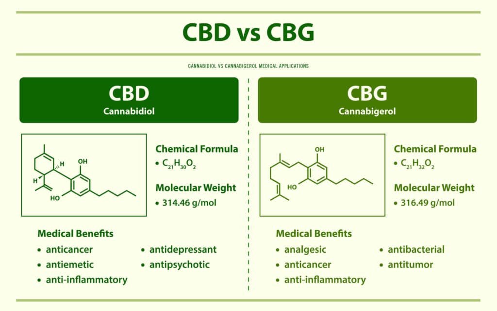 discovering the benefits of cbd and cbg a comprehensive guide