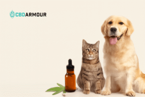 CBD for Pets