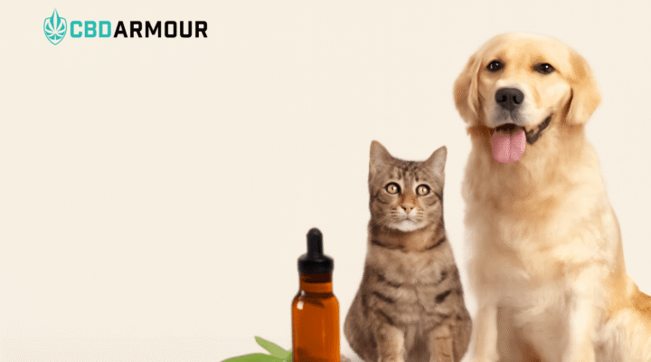 CBD for Pets