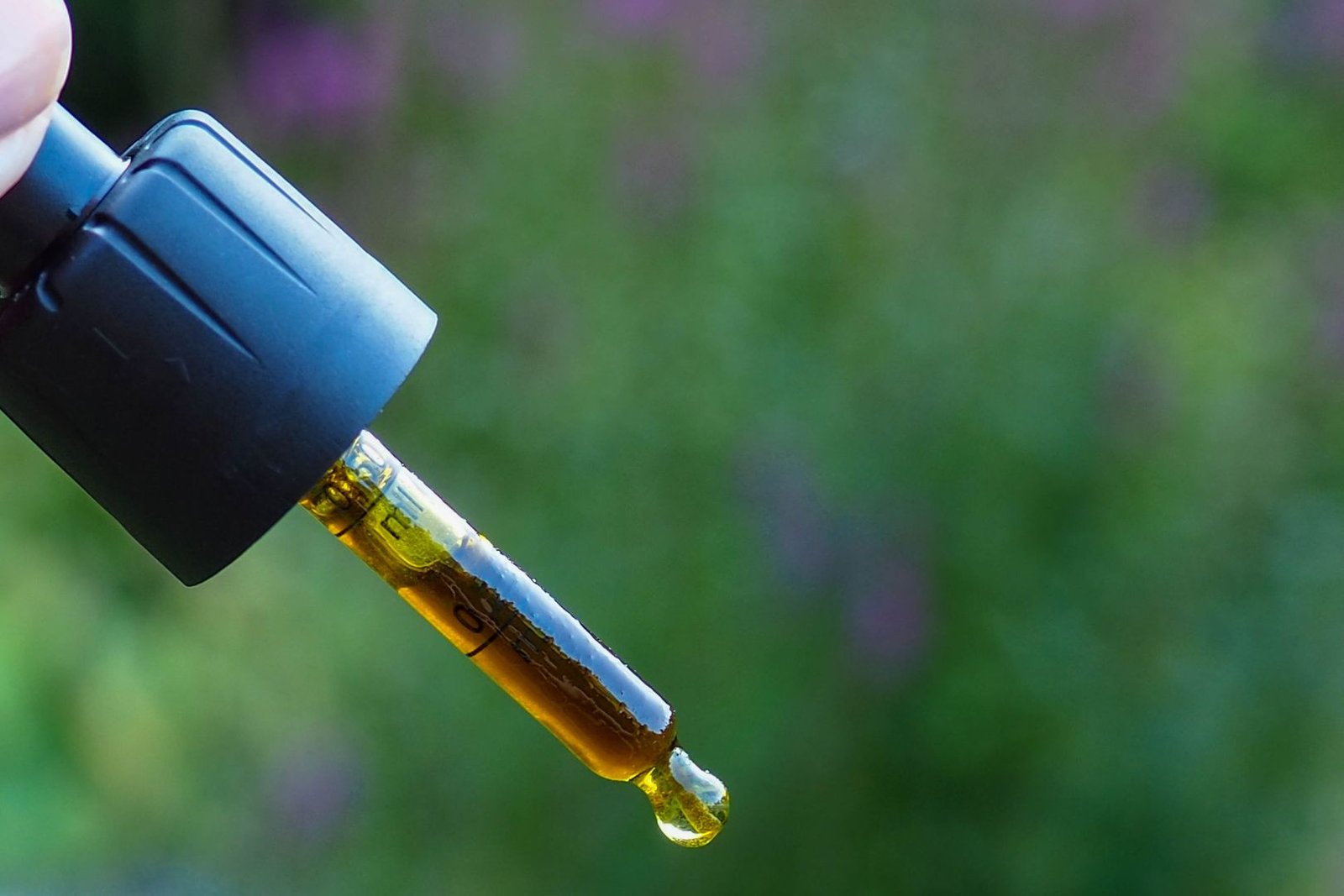 Buy CBD Oil