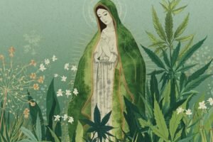 CBD Virgin Mary