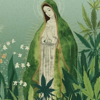 CBD Virgin Mary