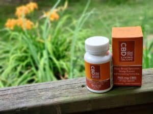 cbd dosage - A helpful visual guide showing different CBD serving suggestions for beginners starting their wellness journey