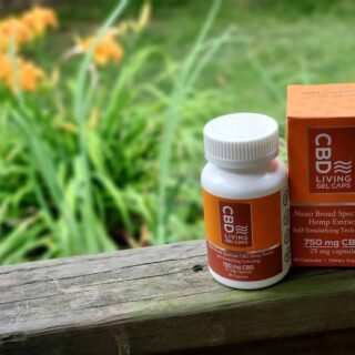 cbd dosage - A helpful visual guide showing different CBD serving suggestions for beginners starting their wellness journey