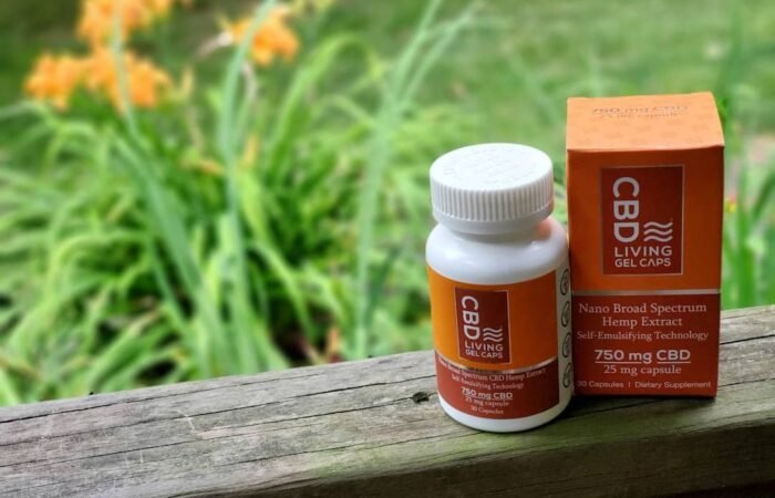 cbd dosage - A helpful visual guide showing different CBD serving suggestions for beginners starting their wellness journey