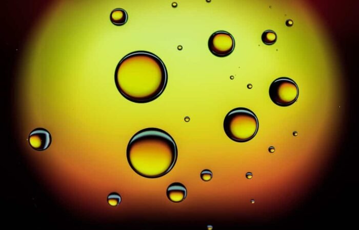 cbd oil vs cbd gummies - Common questions about CBD oil and gummies answered by wellness experts
