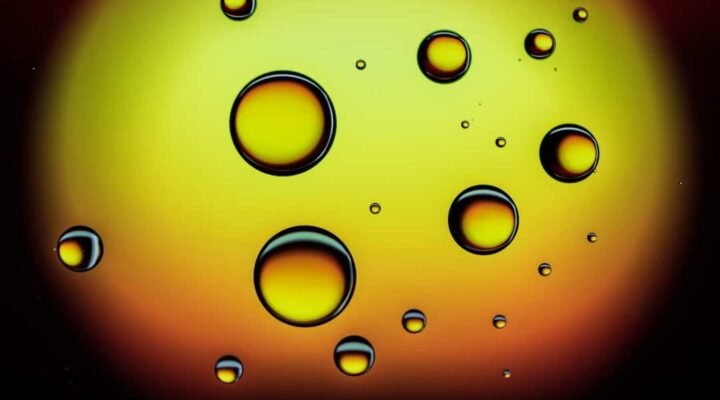 cbd oil vs cbd gummies - Common questions about CBD oil and gummies answered by wellness experts