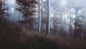 Calm bedroom lighting