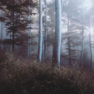 Calm bedroom lighting