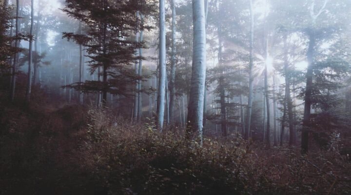 Calm bedroom lighting