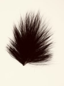 A dark, fluffy object on a light background
