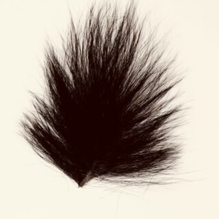 A dark, fluffy object on a light background