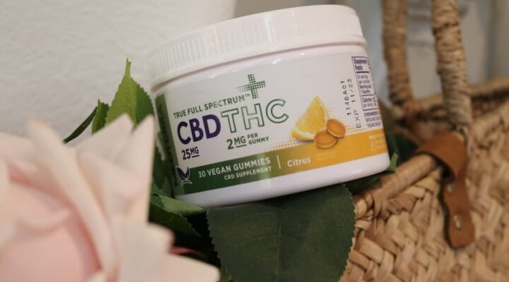 cbd for period pain - Women exploring natural wellness approaches for monthly comfort and balance