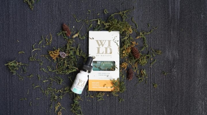 Natural CBD oil for wellness support