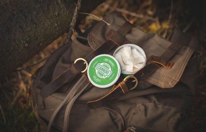 cbd wellness lifestyle