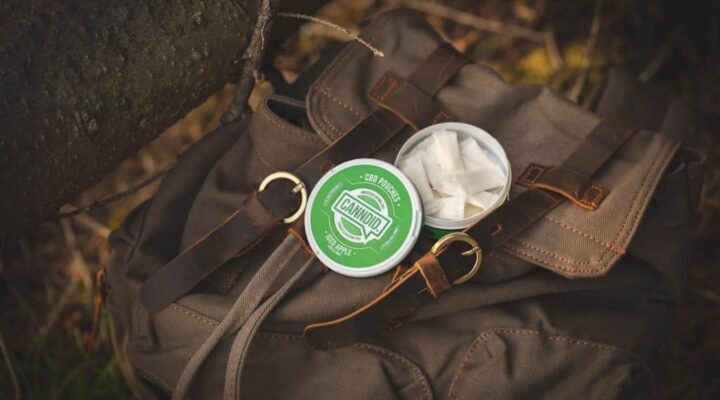 cbd wellness lifestyle