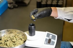 Understanding CBD batch testing helps consumers make informed choices about product quality and transparency