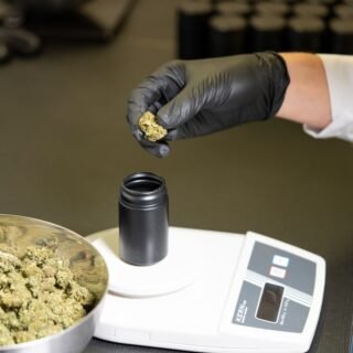 Understanding CBD batch testing helps consumers make informed choices about product quality and transparency