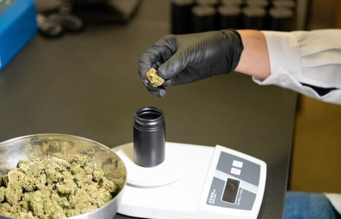 Understanding CBD batch testing helps consumers make informed choices about product quality and transparency