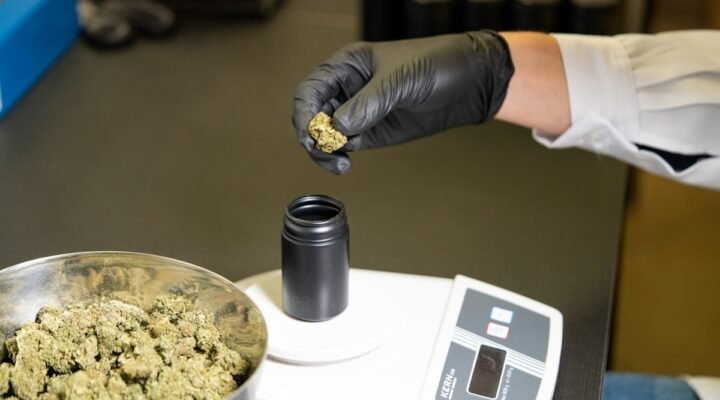 Understanding CBD batch testing helps consumers make informed choices about product quality and transparency
