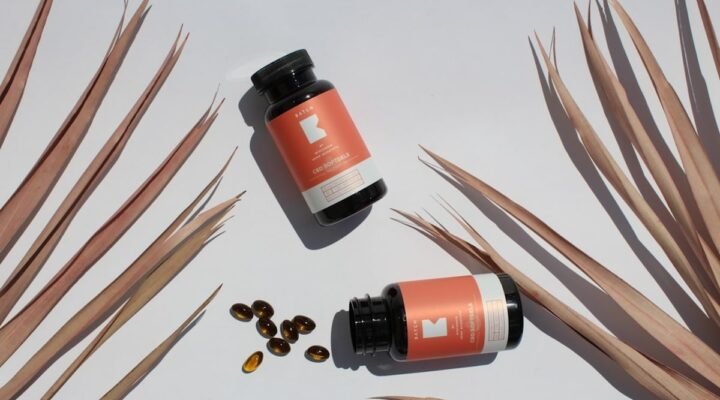 cbd capsule shell ingredients - CBD Armour capsules with clear labelling and plant-based shell options for confident every...