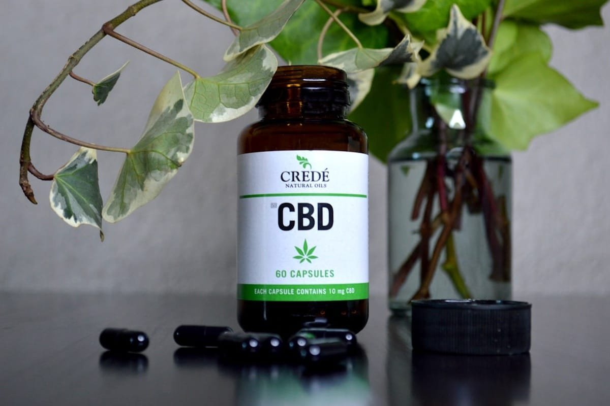 cbd batch record after purchase - Locating your batch number on CBD product packaging is the first step to verifying your ...